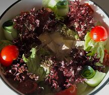Салат из языка с соусом пармеджано