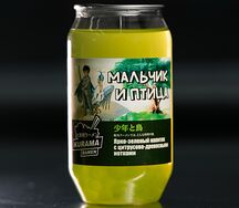 Мальчик и птица