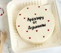 Большой бенто-торт Арбузеру