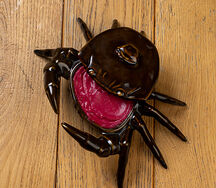 Краб под шубой