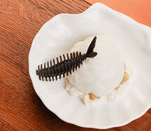 Тартар из гребешка