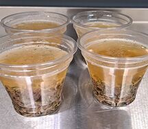 Холодец из свинины