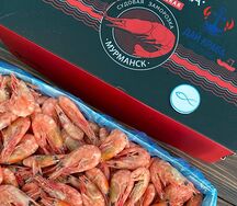 Креветка мурманская