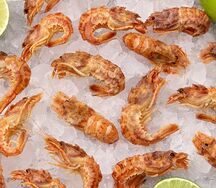 Креветка Шримс медвежонок