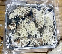 Мидии киви в соусе