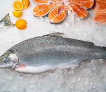 Форель охлаждённая непотрошёная с головой из Карелии