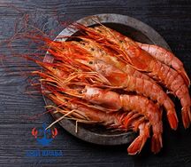 Лангустины L1