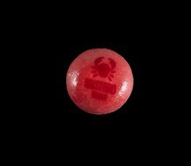 Моти Малина