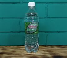 Вода Заповедный источник газированная