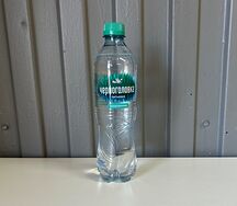 Вода Черноголовка с газом