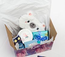 SPA-бокс Наедине с собой