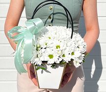 Композиция Пальмира