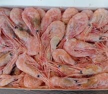 Северные креветки