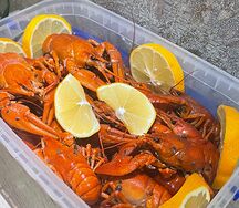 Средние варёные раки с лимончиком и укропом