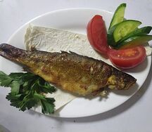 Форель радужная