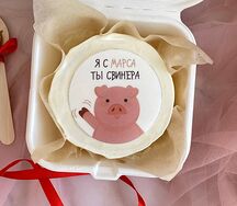 Бенто-торт с картинкой Я с Марса, ты свинера