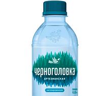 Вода Черноголовка негазированная 