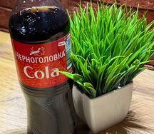 Кола Черноголовка