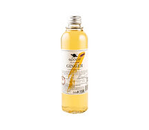 Space ginger beer б/а