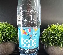 Вода Bona Aqua негазированная