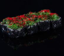Ролл Самоцвет 