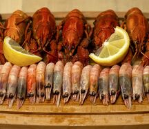 Сет Чёрные глаза с египетскими раками