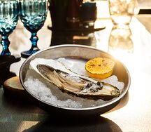 Устрица Императорская