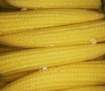 Кукуруза мини маринованная 