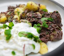 Ньокки с томлёной говядиной и муссом из пармезана