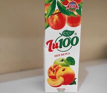  Ju100