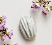 Печенье Мадлен лайм-ваниль