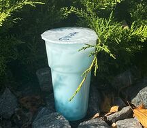 Bubble Tea Тиффани