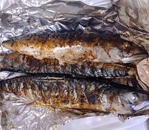 Скумбрия на углях