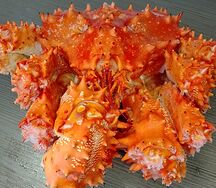 Колючий краб с устричным соусом