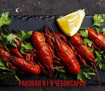 Средние варёные раки с лимончиком и укропом