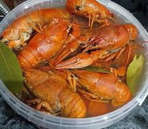 Крупные вареные раки с лимончиком и укропом