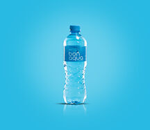 Bon Aqua негазированная