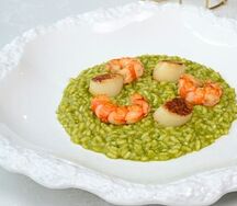 Ризотто песто с морским гребешком и красной креветкой