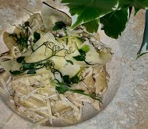 Пене фунги порчини 