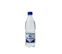 Вода Волжанка с газом