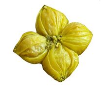 Пахлава Кокос