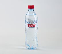 Вода Тбау негазированная