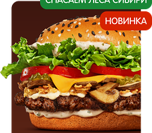 Ангус Сибирский за 1 рубль