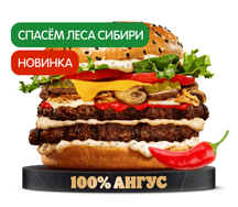 Острый Ангус Сибирский Двойной