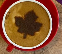 Кленовый раф