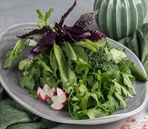 Свежая зелень