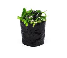 Гункан с чукой