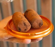 Пирожное картошка