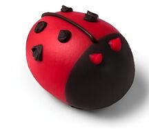 Божья коровка