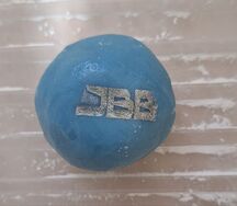 Моти Черника